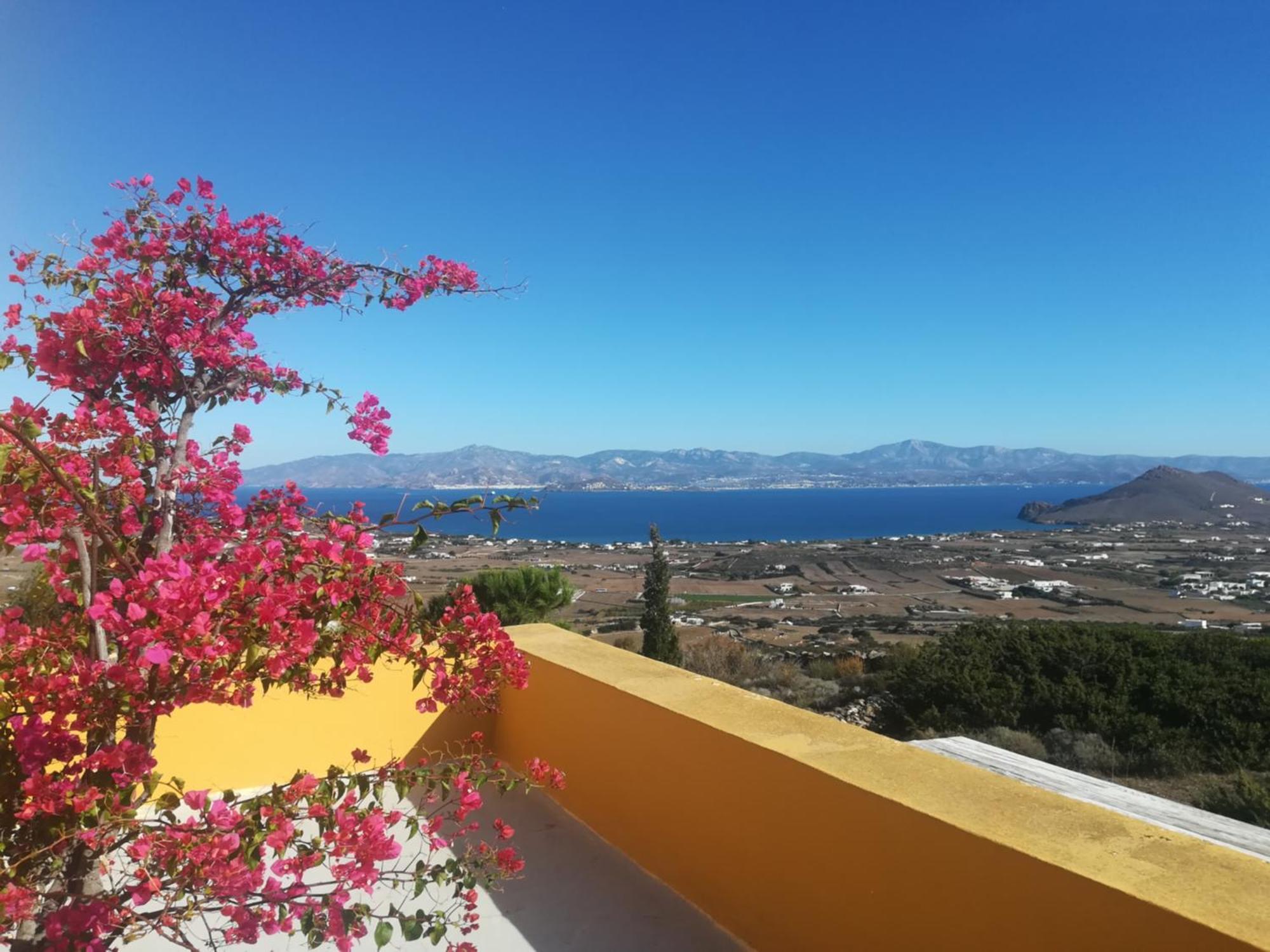 Bralos Villa - Paros, Sea View Kostos Экстерьер фото